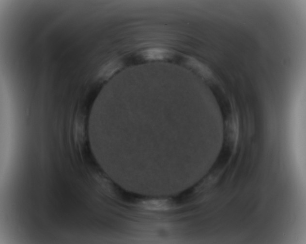 X0000086110422200703301241