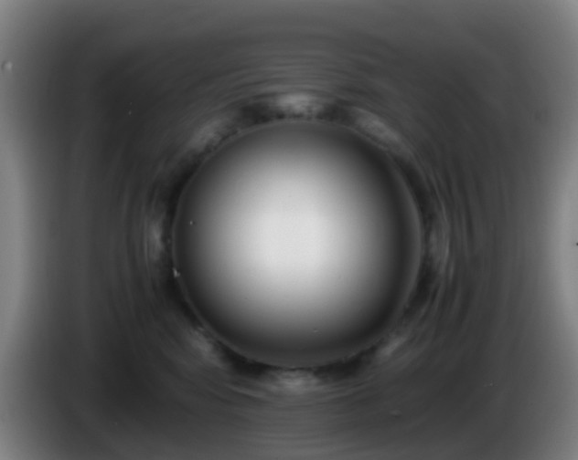 X0000086110424200703301241