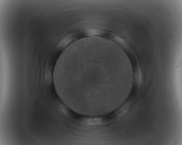 X0000086110426200703301241