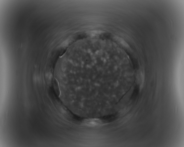 X0000086110427200703301241