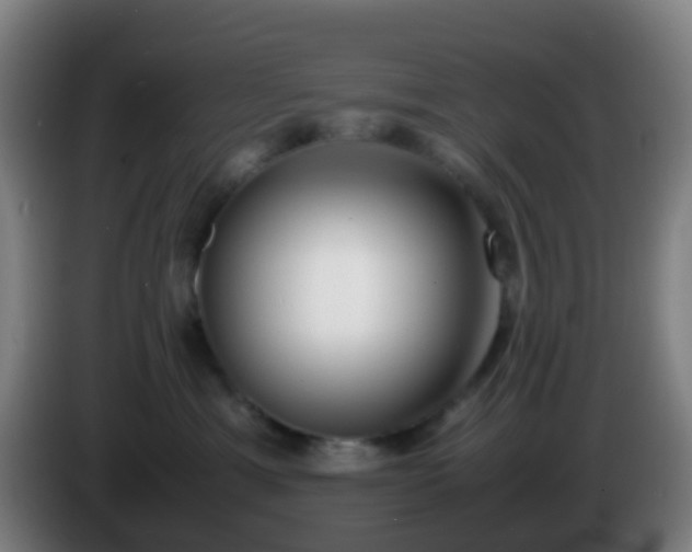 X0000086110429200703301241