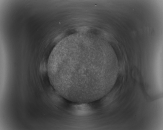 X0000086110431200703301241