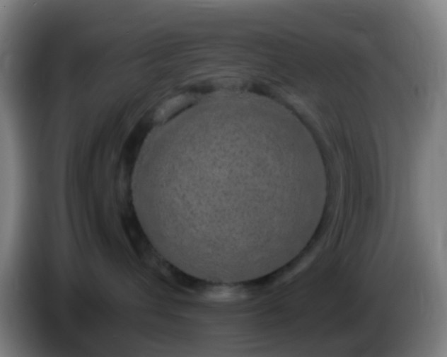 X0000086110432200703301241