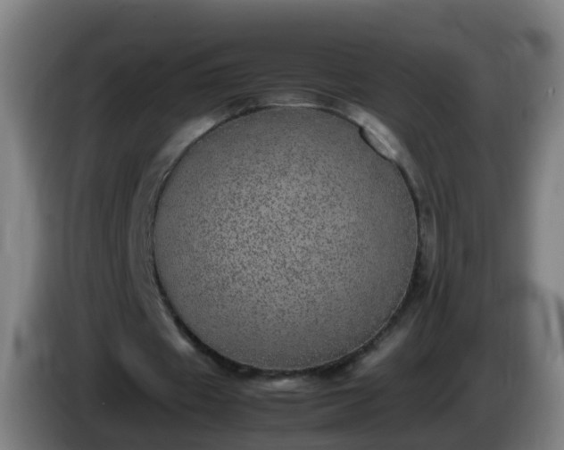 X0000086110433200703301240