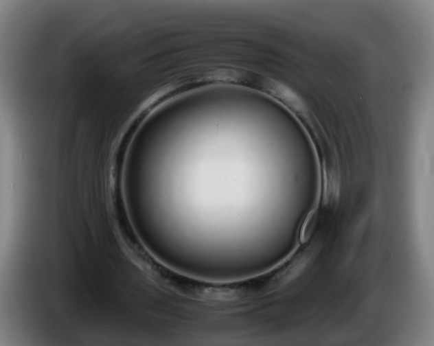 X0000086110435200703301240