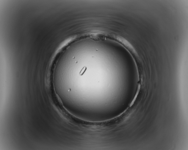 X0000086110436200703301240