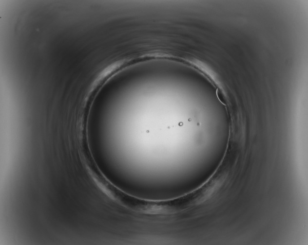 X0000086110437200703301240