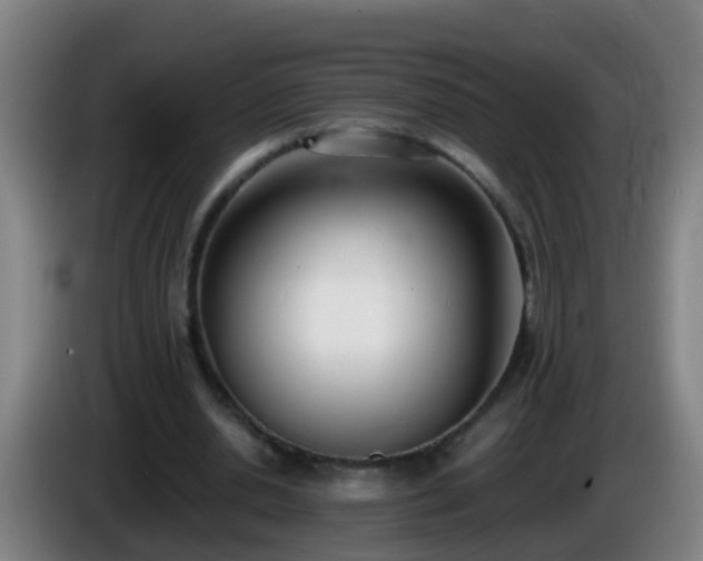 X0000086110438200703301240