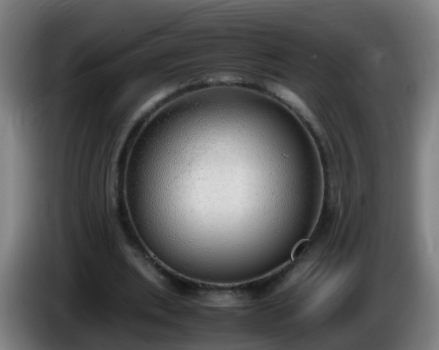 X0000086110439200703301240