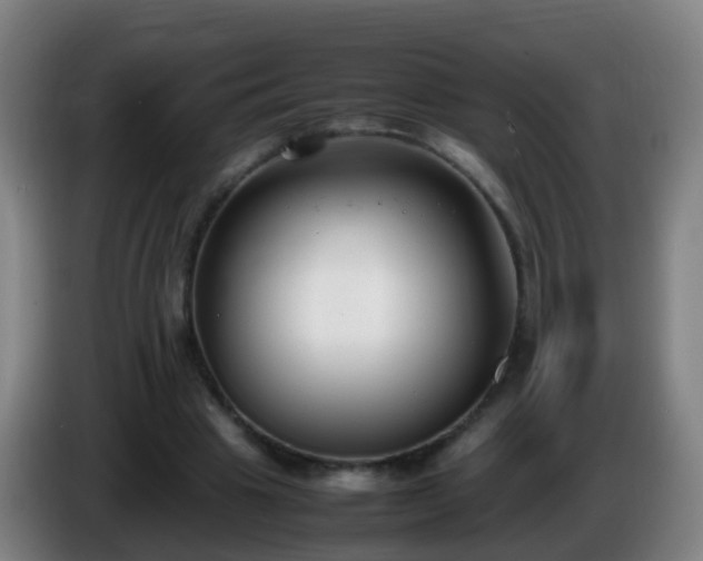 X0000086110441200703301240