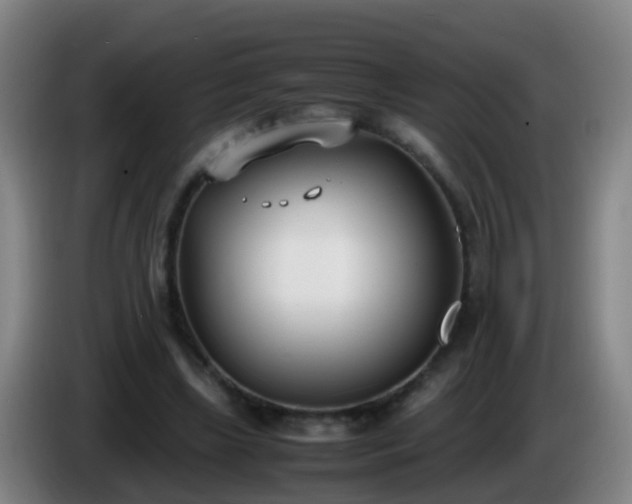 X0000086110443200703301240