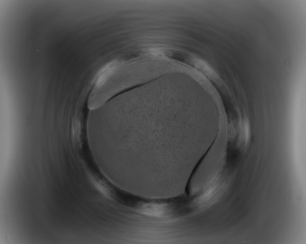 X0000086110444200703301240