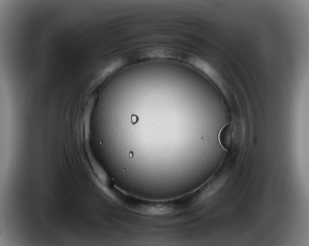 X0000086110445200703301240