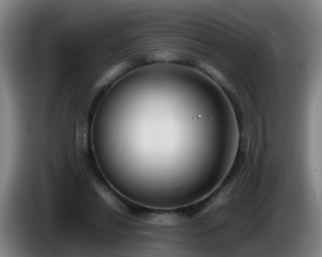 X0000086110446200703301240