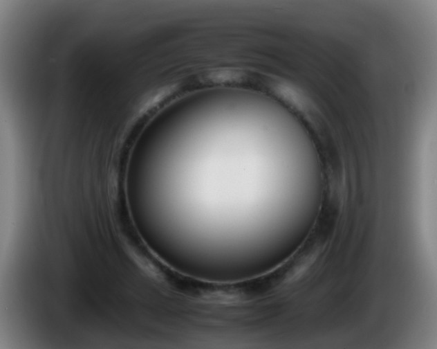 X0000086110447200703301240