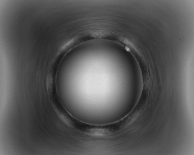 X0000086110448200703301240