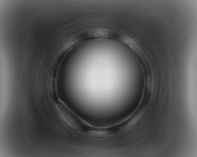 X0000086110449200703301240