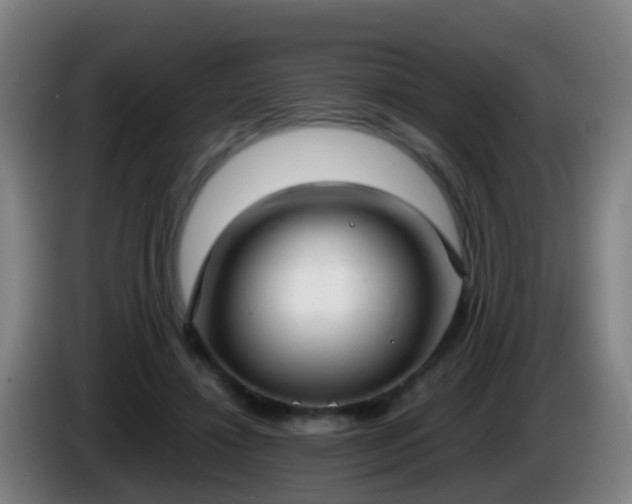 X0000086110452200703301240