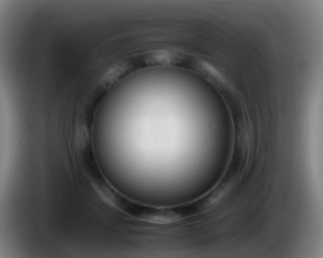 X0000086110459200703301240