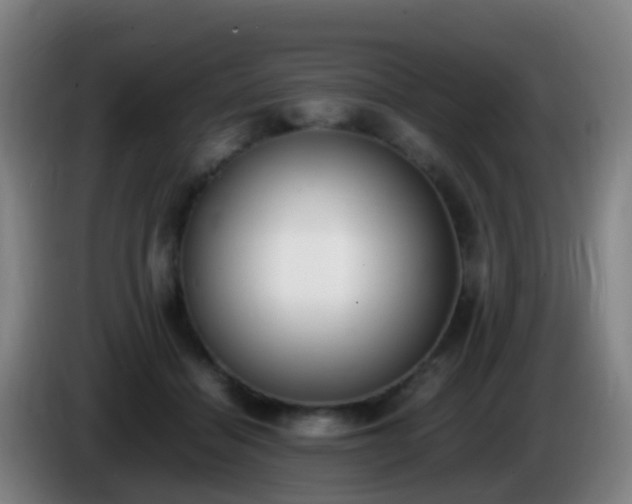 X0000086110460200703301240