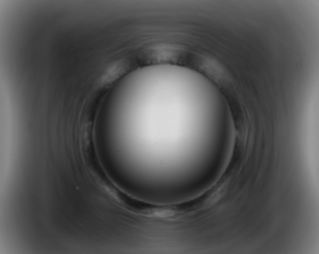 X0000086110462200703301240