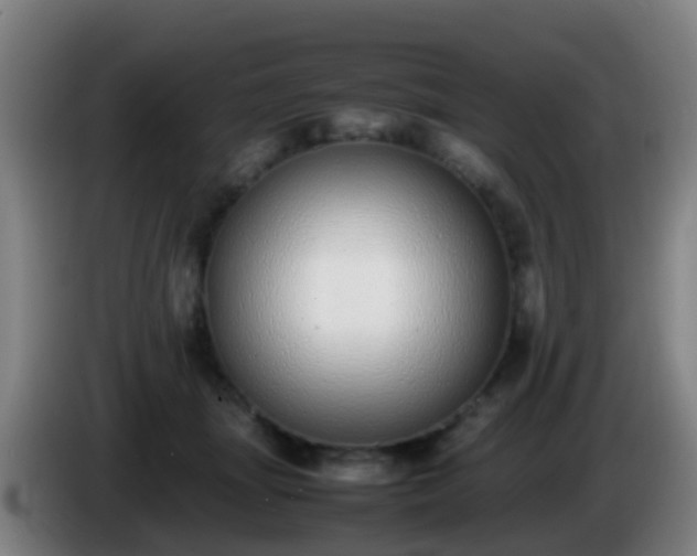 X0000086110463200703301240