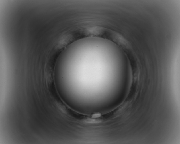 X0000086110464200703301240