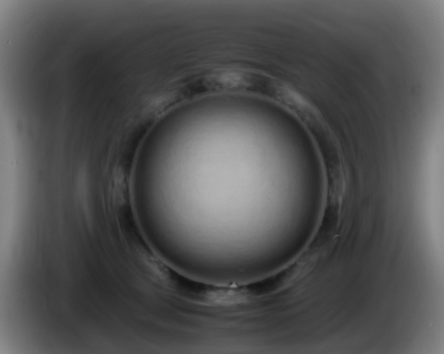 X0000086110465200703301240