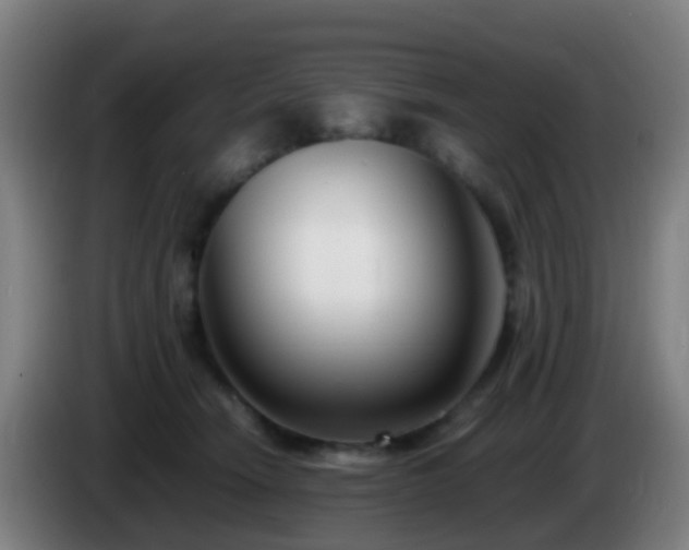 X0000086110466200703301240