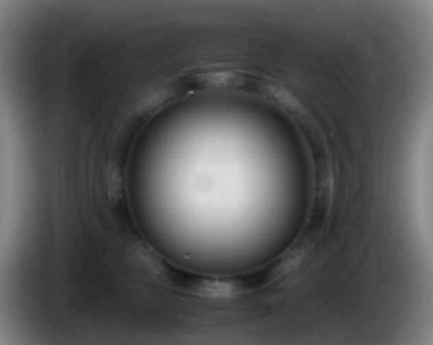 X0000086110469200703301241