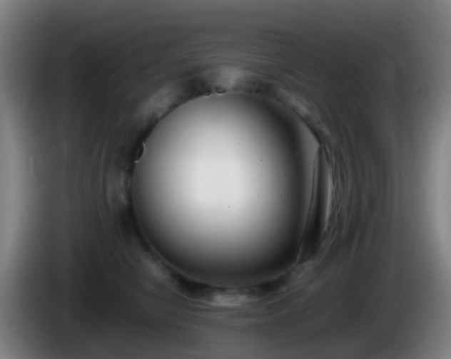 X0000086110470200703301241