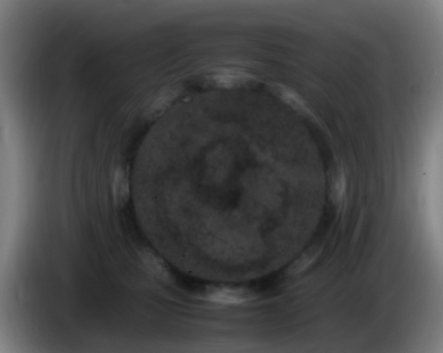 X0000086110471200703301241