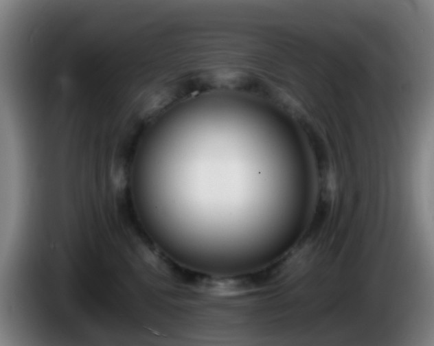 X0000086110472200703301241