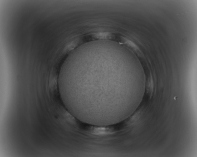 X0000086110473200703301241