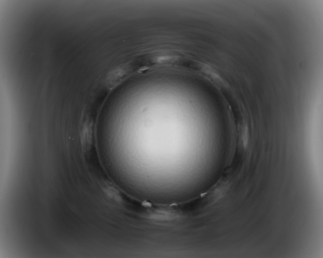 X0000086110475200703301241