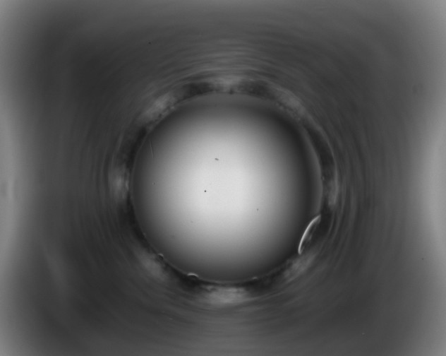 X0000086110476200703301241