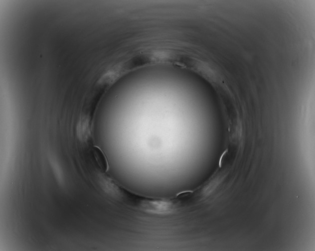 X0000086110478200703301241