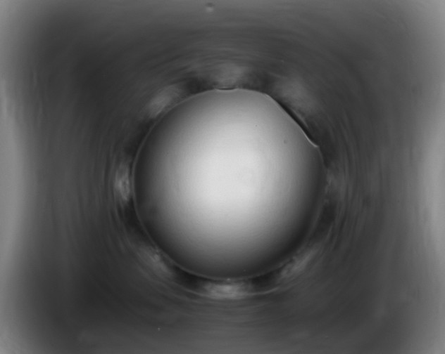 X0000086110479200703301241