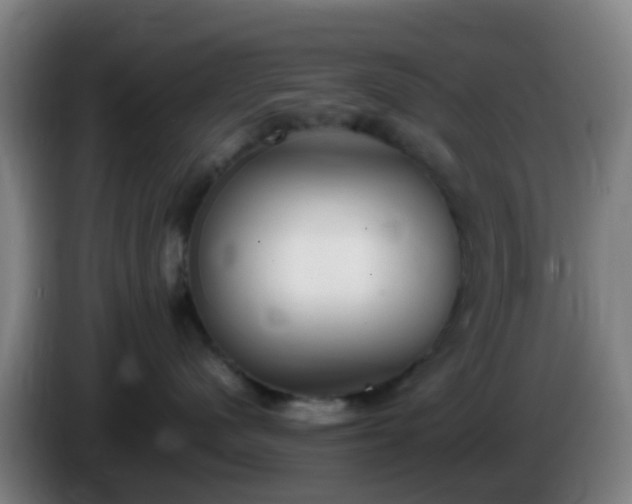 X0000086110480200703301241