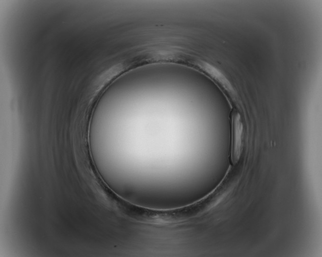 X0000086110481200703301240