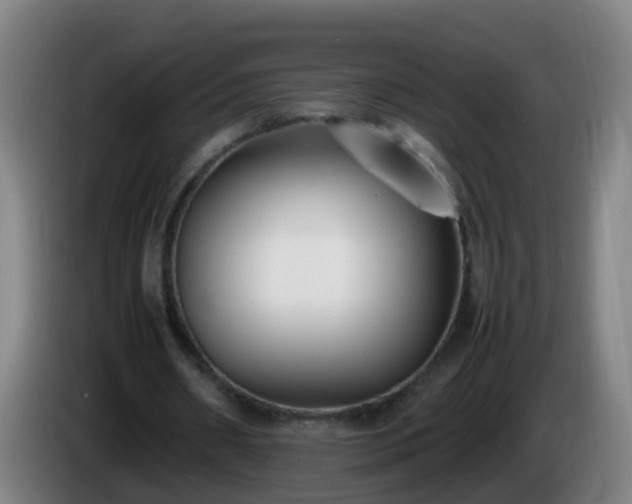 X0000086110482200703301240