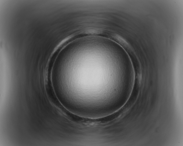 X0000086110484200703301240