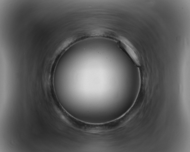 X0000086110485200703301240