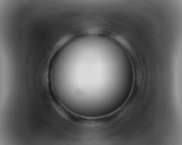 X0000086110486200703301240