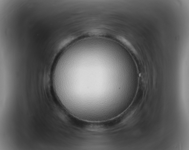 X0000086110487200703301240