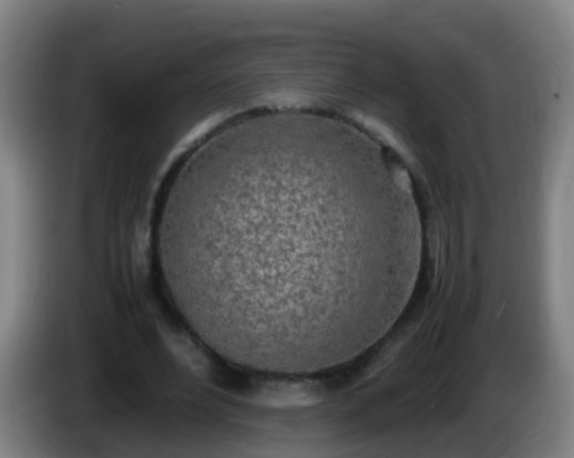 X0000086110488200703301240