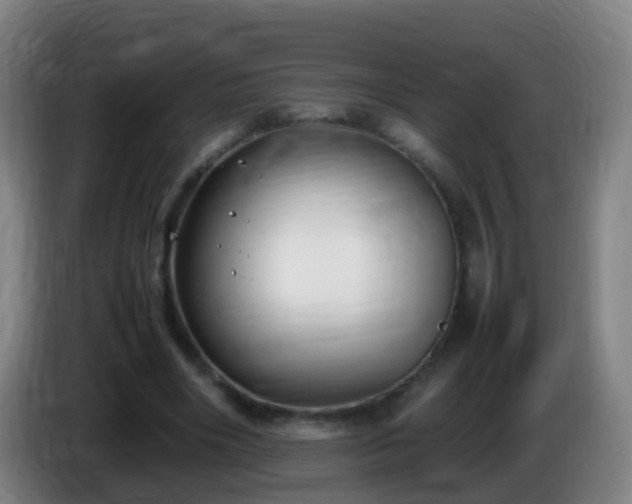 X0000086110490200703301240