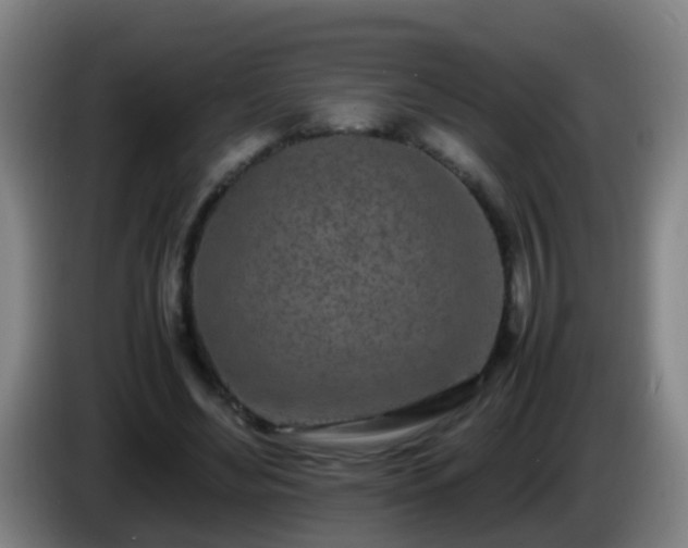 X0000086110492200703301240