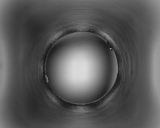 X0000086110493200703301240