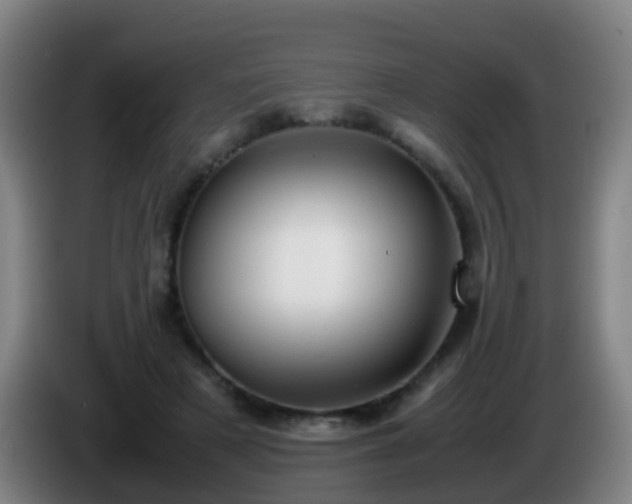 X0000086110497200703301240